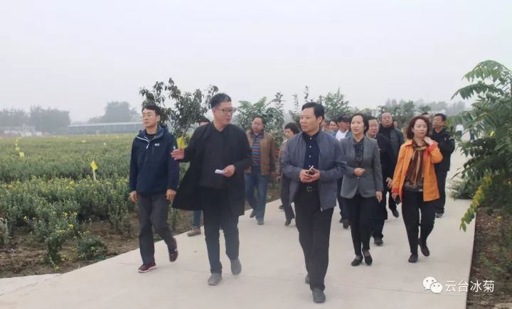 云臺冰菊基地發(fā)生了什么？一批批領導專家團隊前來！